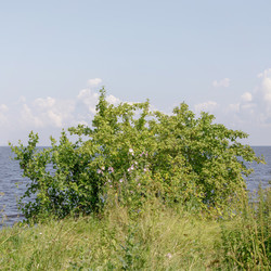 Similar image 22683162