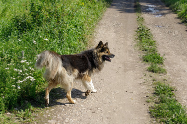 Similar image 22683193
