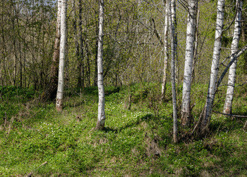Similar image 22683209