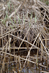 Similar image 22683427