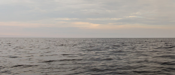 Similar image 22683433