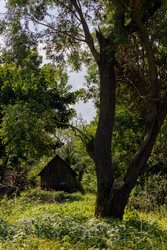 Similar image 22683506