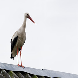 Similar image 22683524