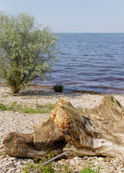Similar image 22683236