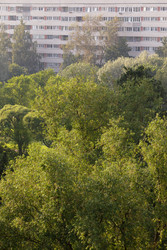 Similar image 22683251