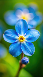 Similar image 22684886