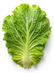 Similar image 22691619