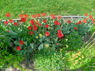 Similar image 22688033