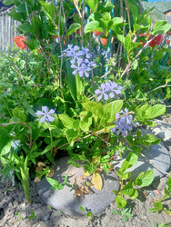 Similar image 22688034