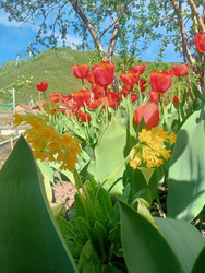 Similar image 22688010