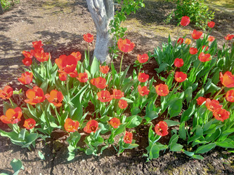 Similar image 22688041