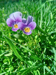 Similar image 22688044