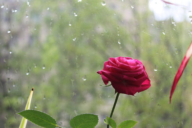 Similar image 22684318