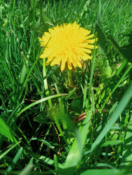 Similar image 22688046