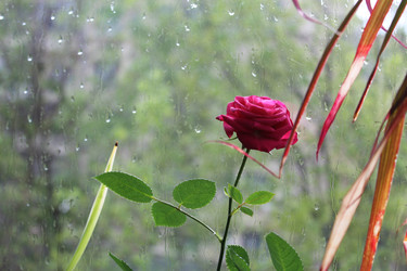 Similar image 22684326