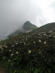 Similar image 22684354