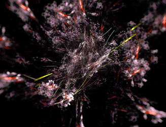 Similar image 22708858