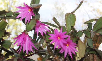 Similar image 22684336