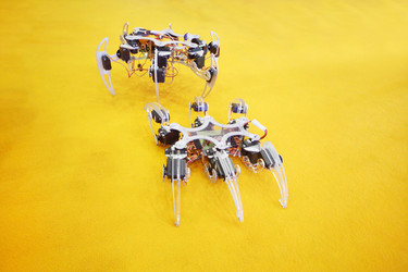 Similar image 22701355