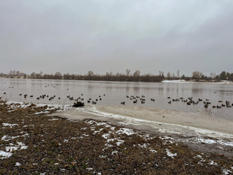 Similar image 22712089