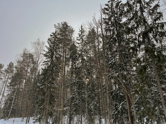 Similar image 22712096