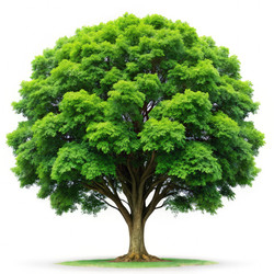 Similar image 22685282