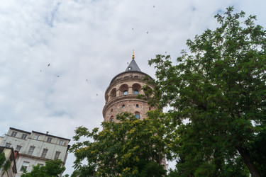 Similar image 22689517