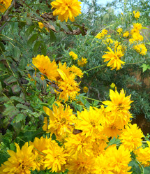 Similar image 22684319