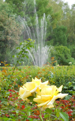 Similar image 22684320