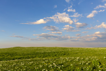 Similar image 22688814