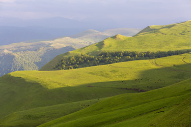 Similar image 22688815