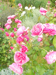 Similar image 22684322