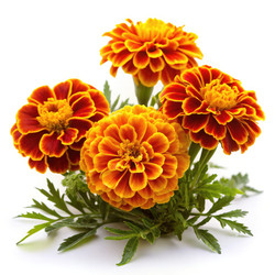 Similar image 22684773