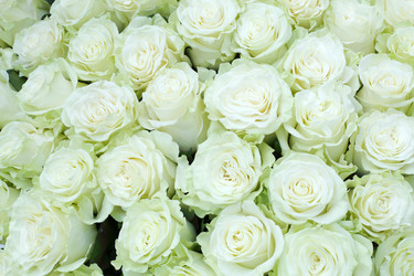 Similar image 22714656