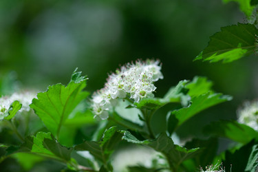 Similar image 22717538