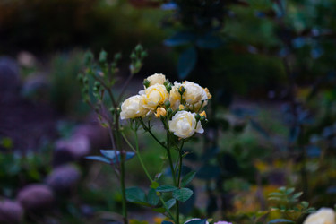 Similar image 22717549