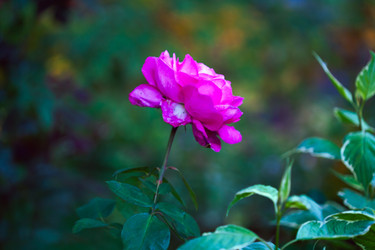 Similar image 22717552