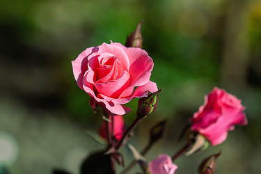 Similar image 22717562