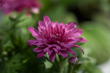 Similar image 22717567