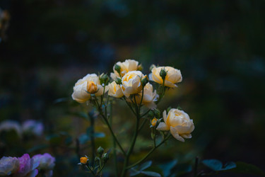 Similar image 22717574