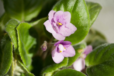 Similar image 22717578
