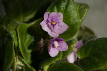 Similar image 22717586
