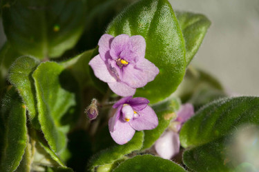 Similar image 22717590