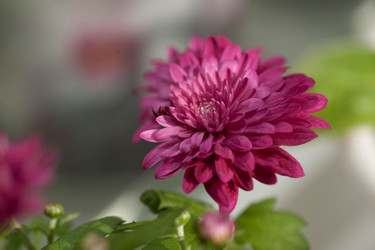 Similar image 22717598