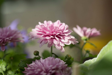 Similar image 22717603