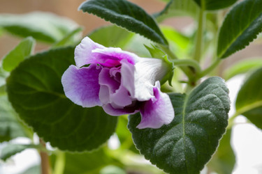 Similar image 22717608