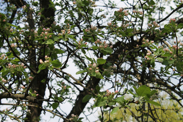 Similar image 22688821