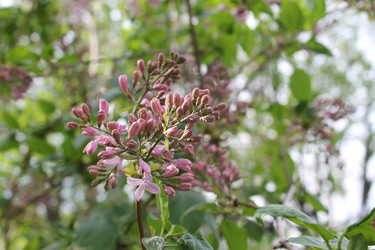 Similar image 22688825