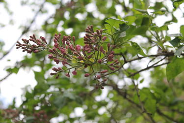 Similar image 22688827