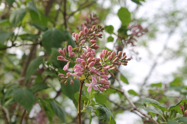Similar image 22688828